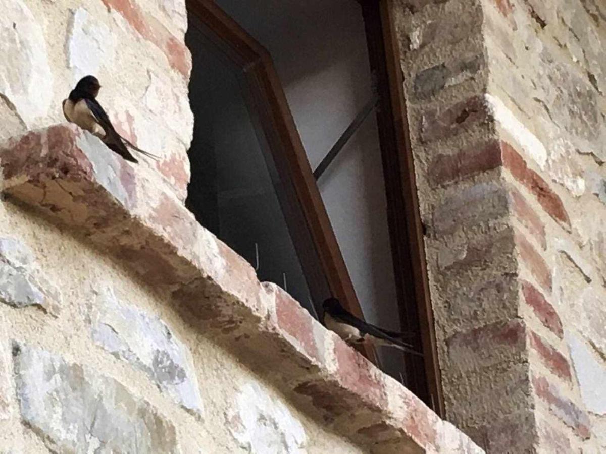 San Venanzo - Casale De Conti Villa Kültér fotó